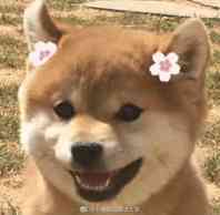 新手怎么化妆需要买什么,新手怎么化妆视频