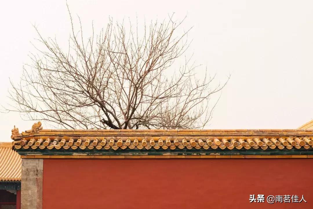 碎玉坠琼芳，流年忆甜柔