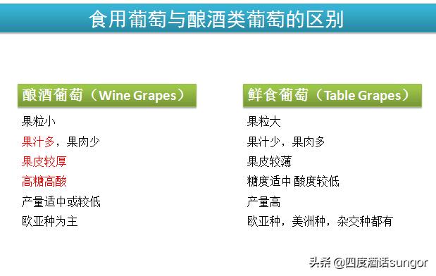 十年经验和技术感悟,10年商业经验