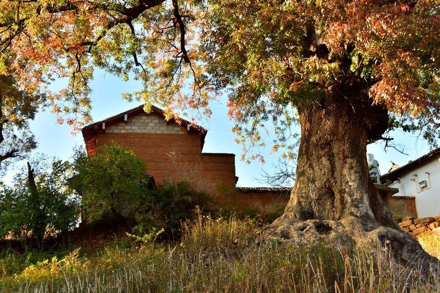 离婚带孩子欠几十万负债走投无路,欠债30万带着儿子离婚