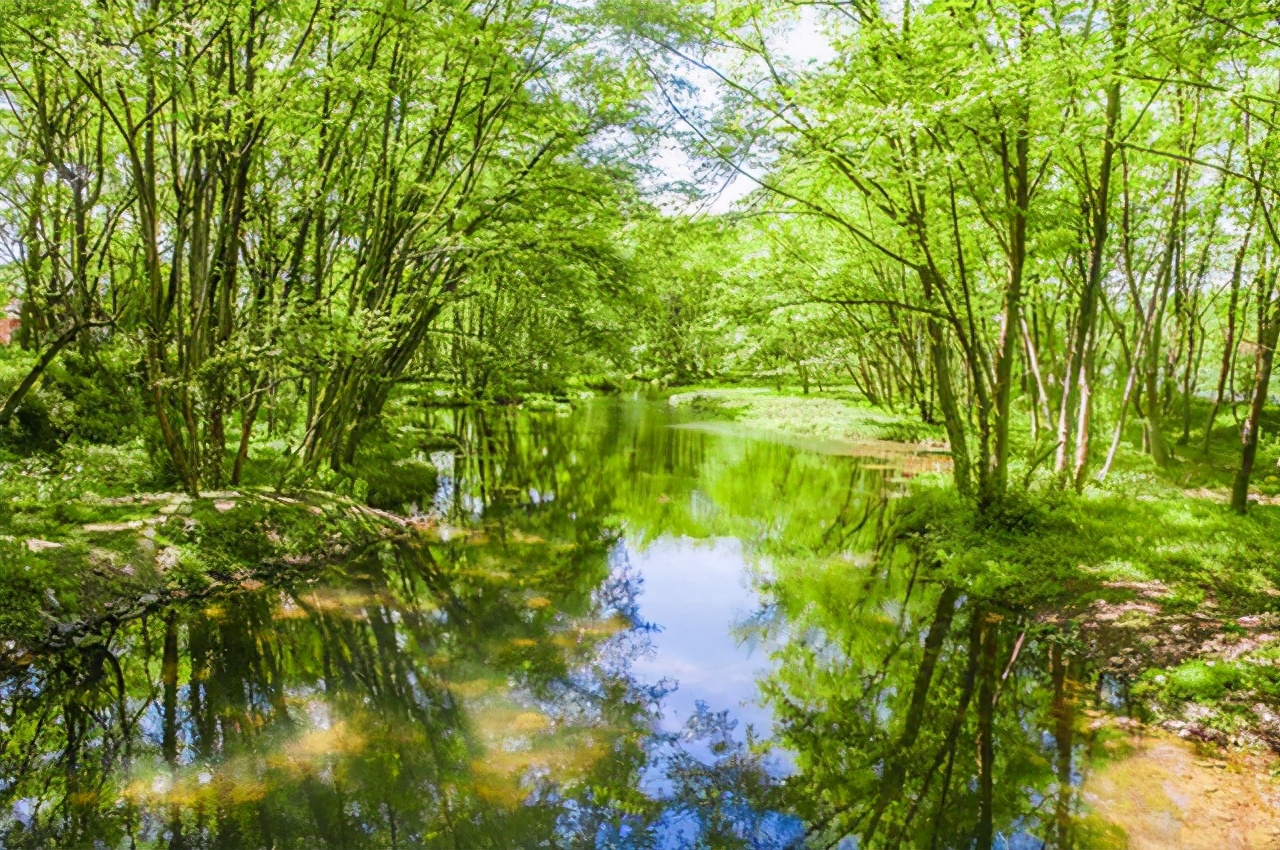 黄山西溪南古村旅游,西溪湿地五一