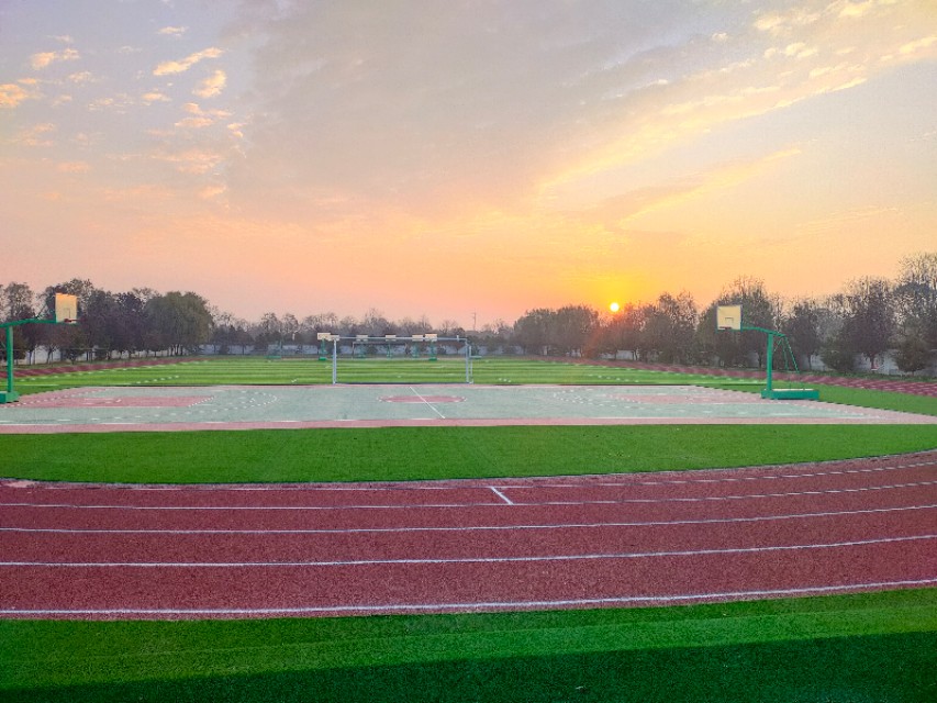 长杨中学官网,长杨中学