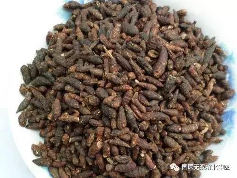 中成药名差不多功效不同勿用错（二）