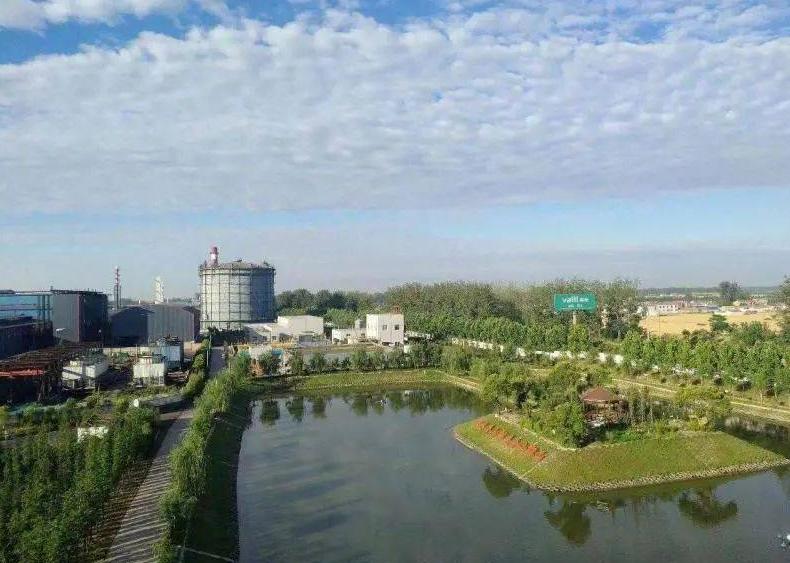 谈谈家乡生态环境,关于家乡生态的采访问题