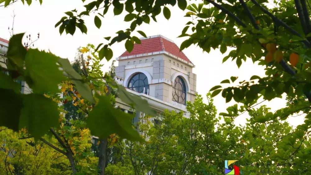 网友对青岛港湾职业学院的评价,街访你眼中的石家庄