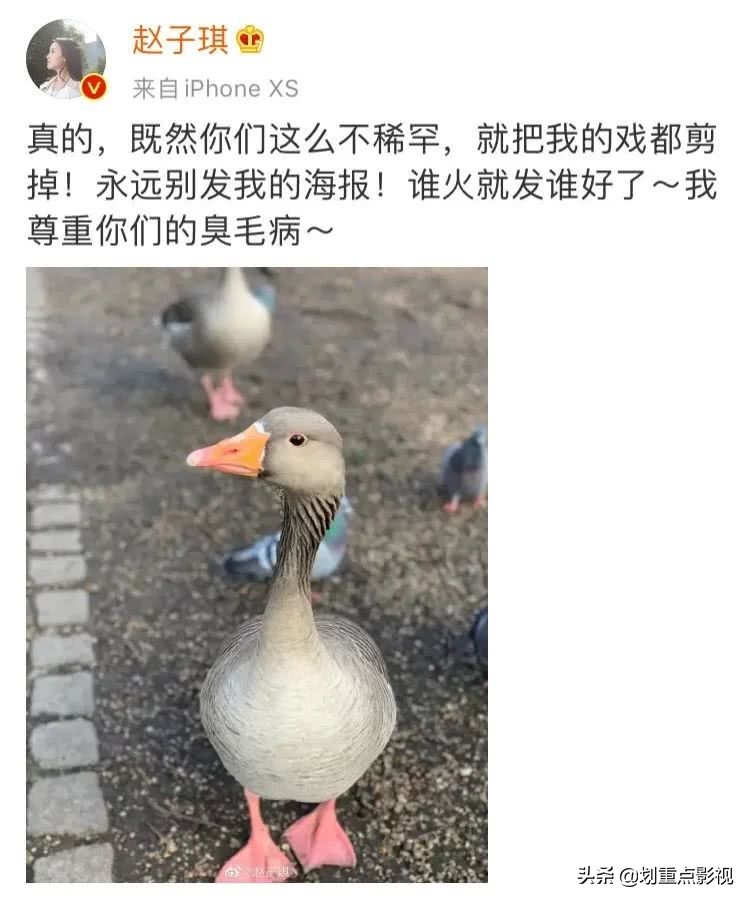 三月国产热漫推荐,三月最火的剧