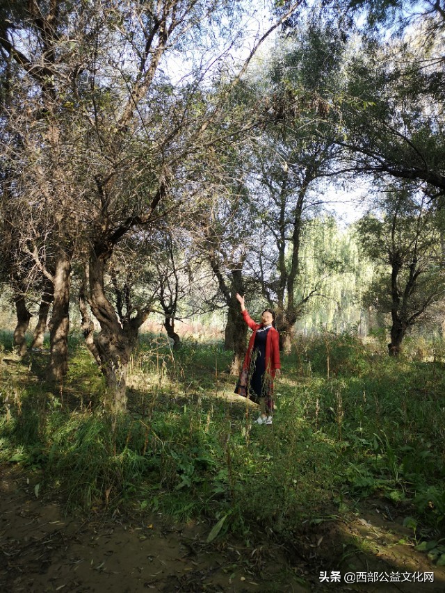 金苹果，是河西走廊一颗璀璨的明珠