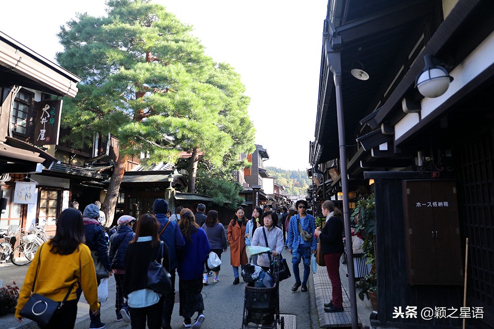 日本锅和德国锅哪个好,日本上万的锅