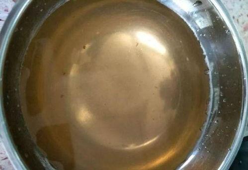 雨后路边的大蜗牛有病菌吗,一下雨就特别多蜗牛爬出来怎么办