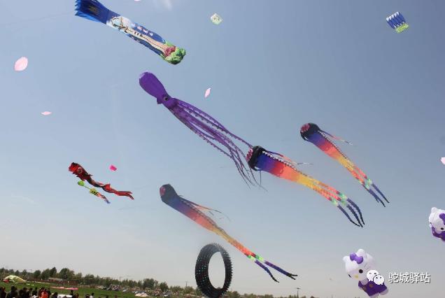 榆林芹河旅游,榆阳区周末游玩推荐