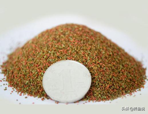 养鱼别再浪费钱了,买观赏鱼饲料的省钱技巧,养鱼不烧钱