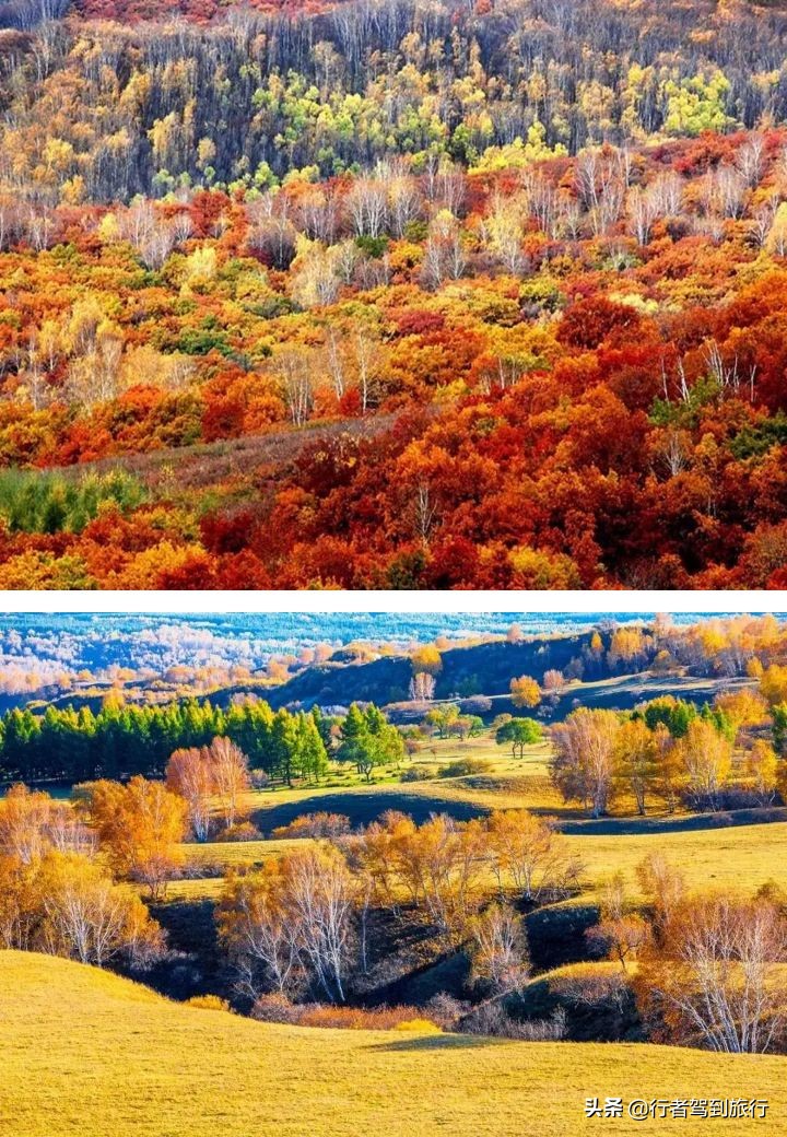 冬季克旗旅游自驾游攻略,克什克腾旗看秋色攻略