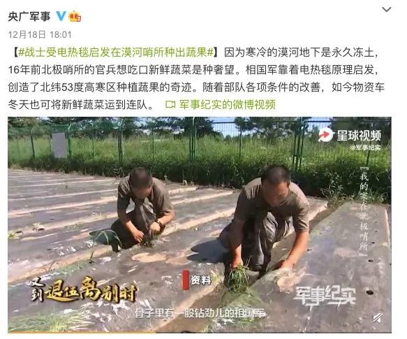 中国的种菜天赋要多离谱,中国种菜天赋惊呆外国人解说