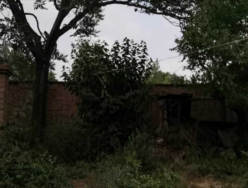 接婆婆妈和公公爸一起过端午节,端午节带女儿回家陪婆婆他们过节