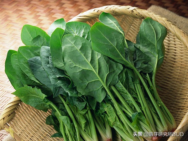 孩子贫血科学育儿知识,孩子贫血怎么办温馨提示