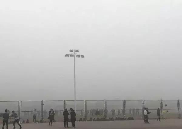 cnn最新研究消息,cnn公布最新研究