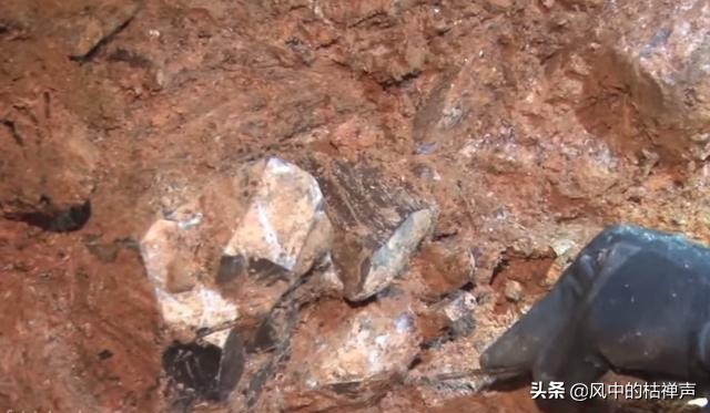 女子爬山时捡回一块石头，随后把这座山买了下来，让人十分不解