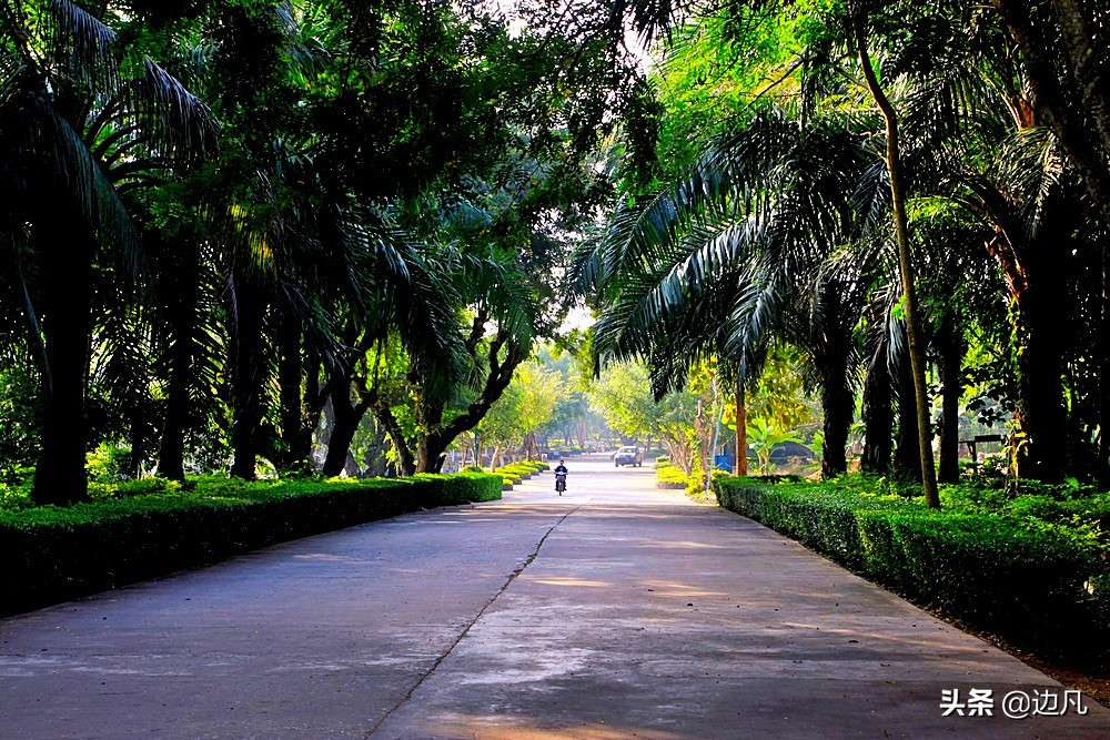 西双版纳澜沧江边美景如画,西双版纳空中夜景