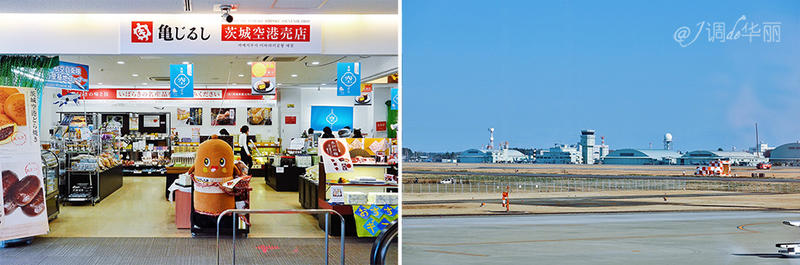 日本东京一日游攻略详细,日本东京五日游最佳路线图