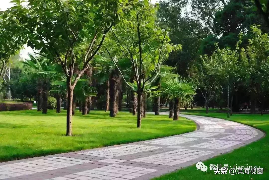 恭喜啦!天津开挂了,42个好消息集中爆发!快看看有没有你家?