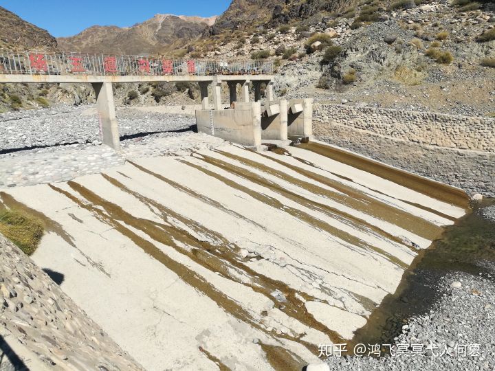 哈密戈壁之花图片,戈壁之花