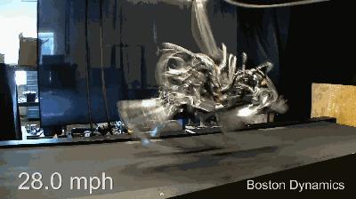 养狗嘛?53万、世界首富同款