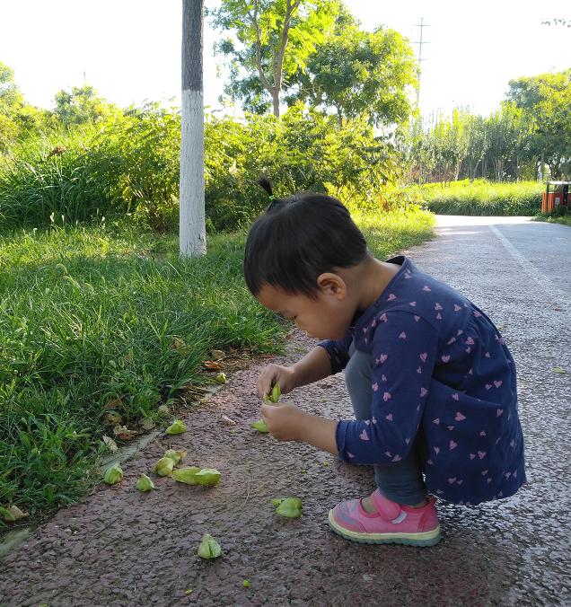 三胎要不要生经济问题,三胎要不要生纠结原因