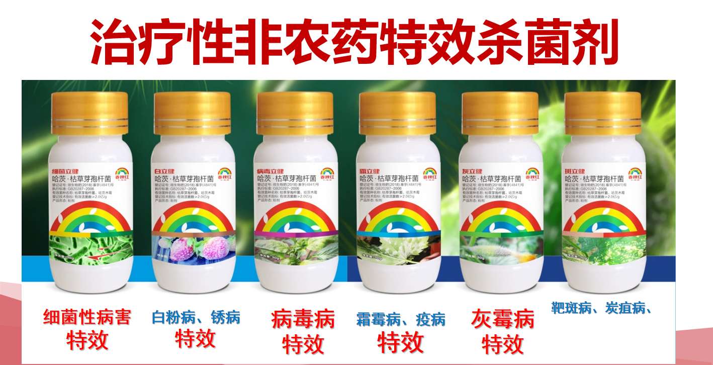 马铃薯常见病虫害及防治方法,马铃薯病虫害诊断与防治论文