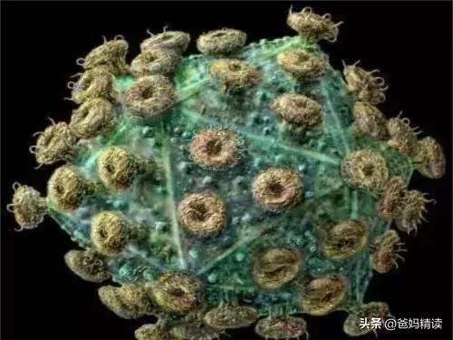 孩子被蚊子叮咬半夜起来怎么办,六岁孩子被蚊子叮咬头部红肿