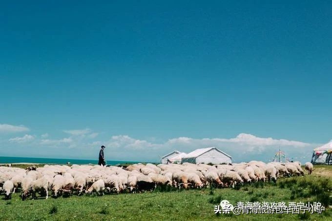 2020青海旅游攻略,1-3天怎么玩速看秘籍-西宁小驴青海旅游领队