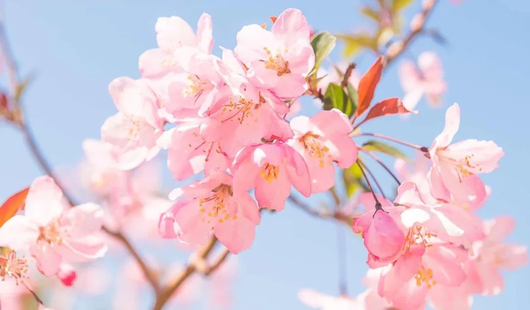 突然就想去成都了,突然想去青岛了