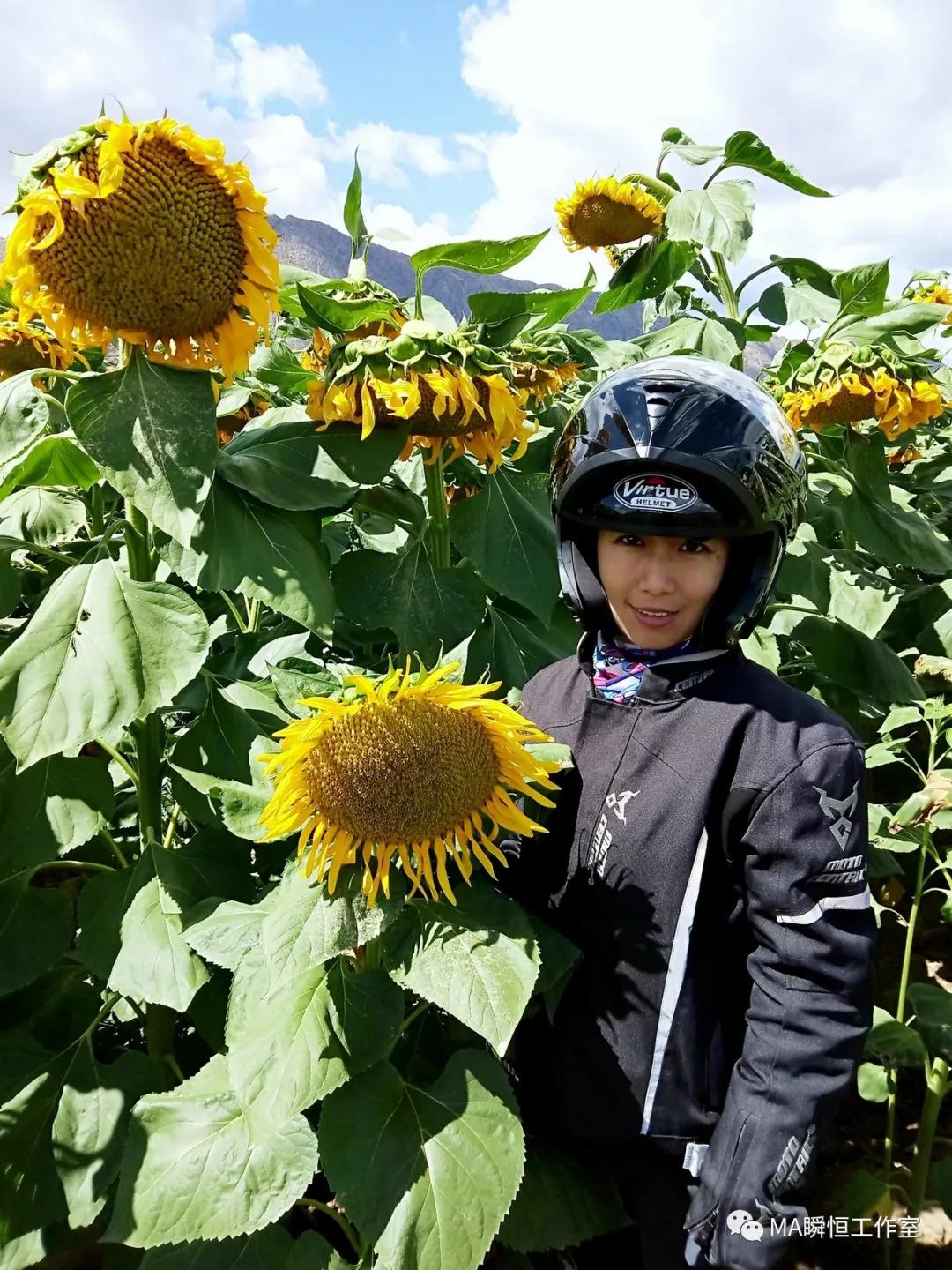 骑行中国第21天露营,骑行北疆大环线