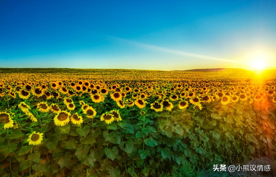 能让人互动起来的事情,能让人产生共鸣的人