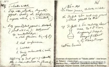 世界第一例病毒是什么,第一个病毒是怎么诞生的