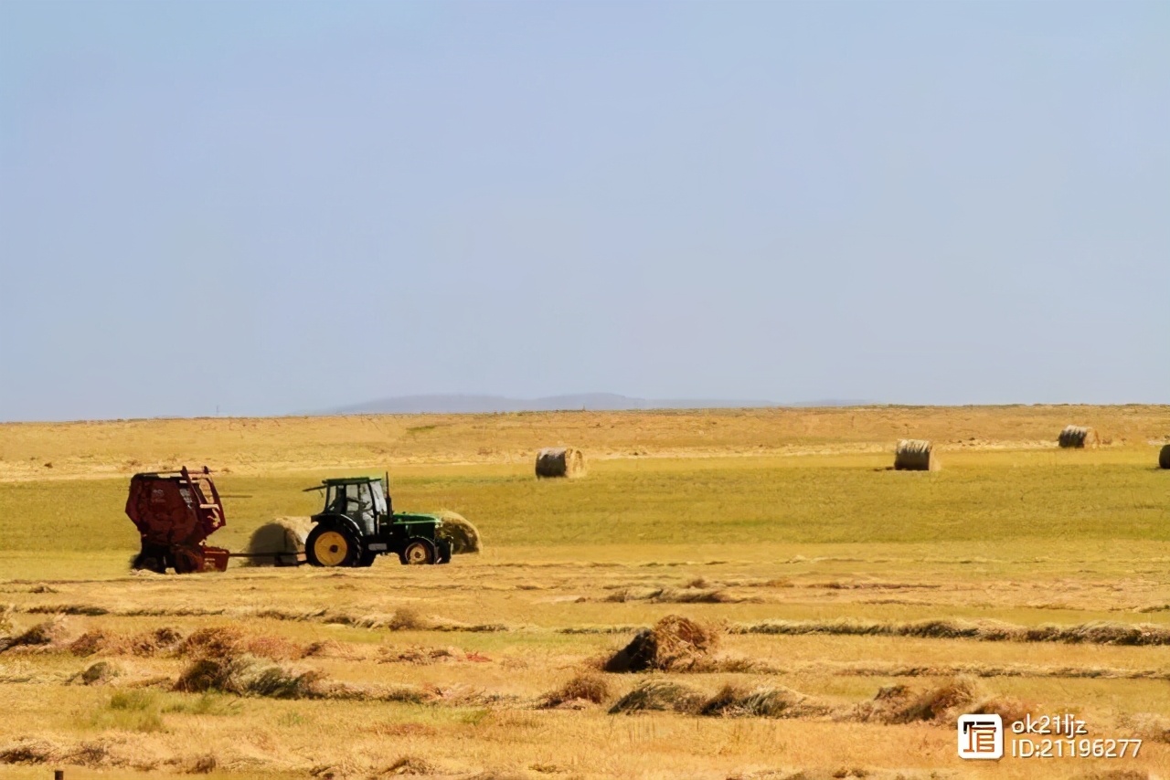 孩子与父母之间的代沟有哪些,孩子与父母之间的代沟英文