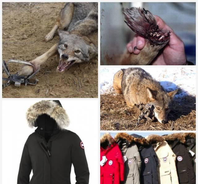 这样的时尚一般人根本读不懂 (你最需要的就是这样的时尚)