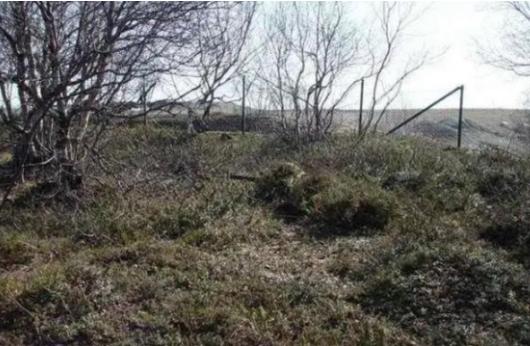 *击狙**手的伪装能力究竟有多强？很少有人能在3秒内全部发现的