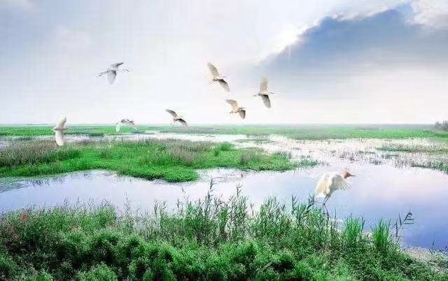 苏北盱眙县的未来几年发展,江苏泗洪与盱眙哪个县发展更好