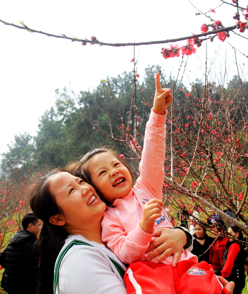 贵港市国庆假期旅游业,贵港春节游客