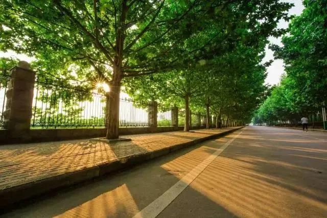 平顶山学院与河南工学院,平顶山学院和平顶山教育学院