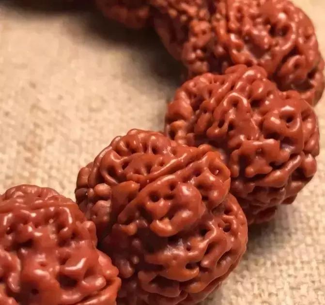 金刚菩提的刷盘方法,金刚菩提是刷红还是盘红