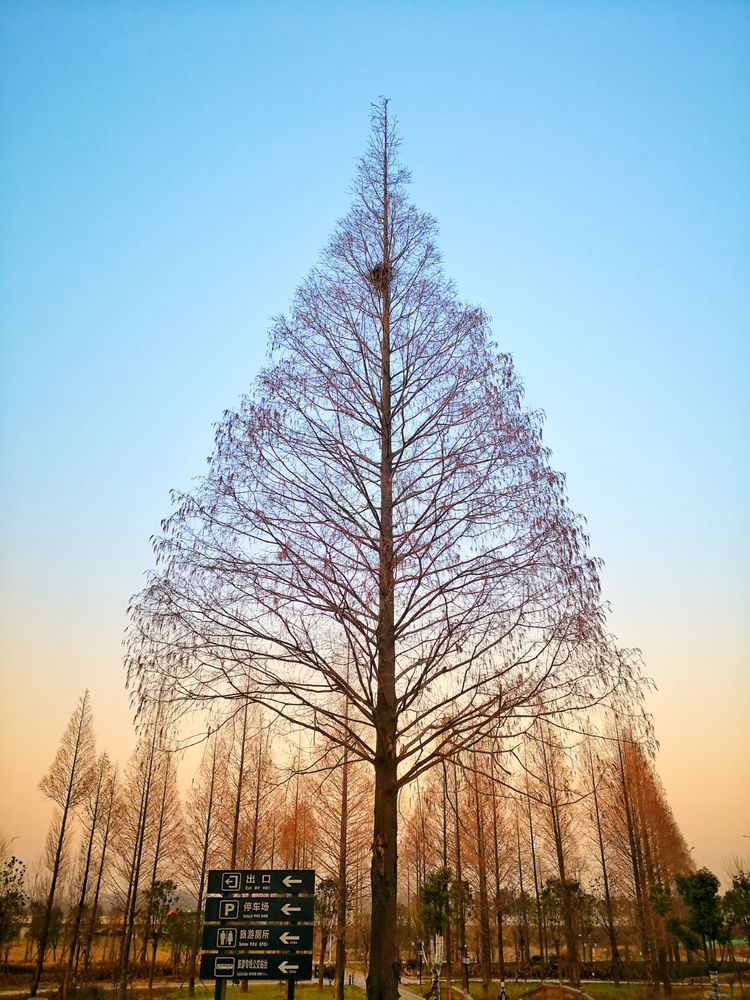 早晨和黄昏时段，手机摄影佳作赏析