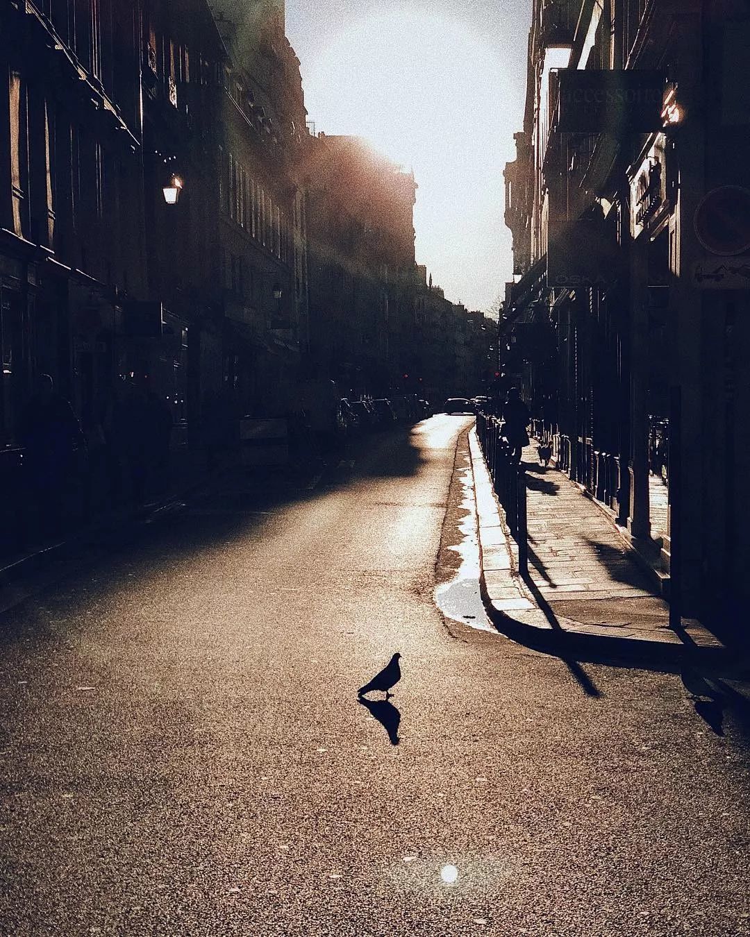 他是一名设计师,靠玩手机摄影成为了苹果签约摄影师