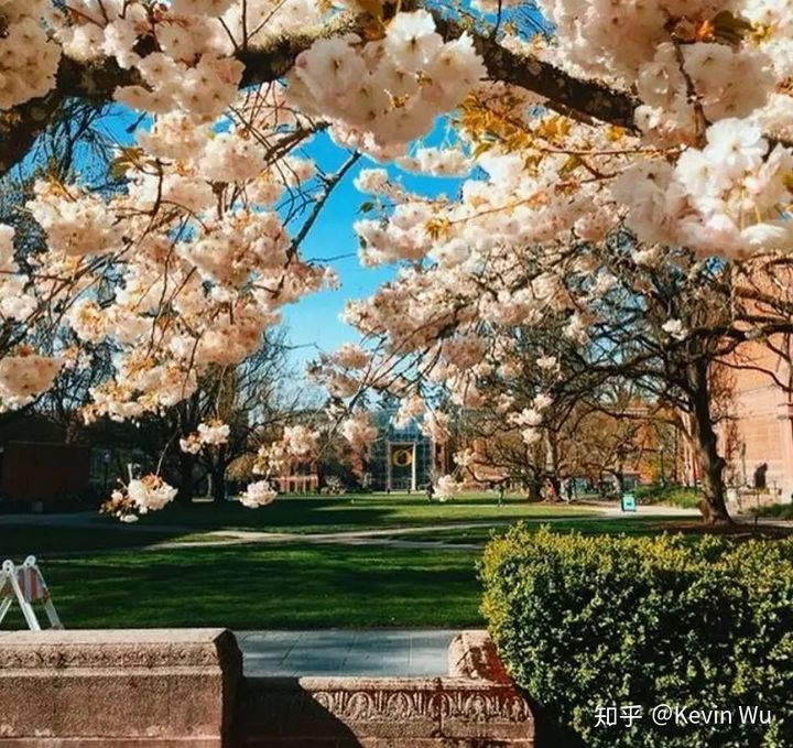 美国俄勒冈大学相当国内哪所大学,俄勒冈大学在美国学校排名