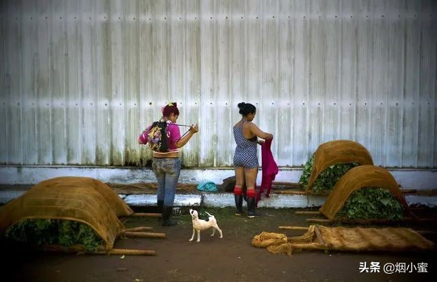 rcep目前签了哪几个国家,rcep签了日本车会便宜多少