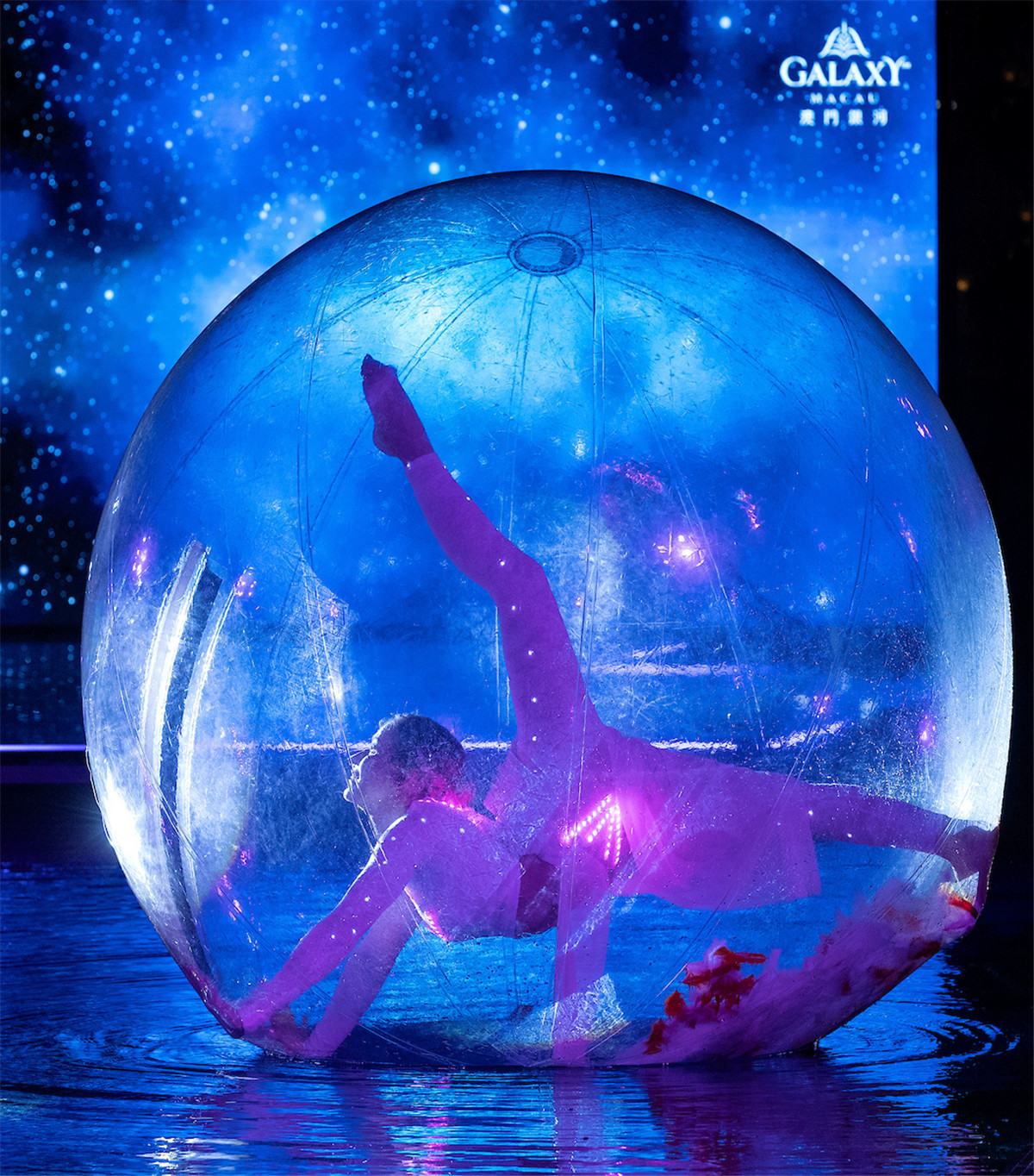 dior潮玩快闪店,dior梦幻快闪店