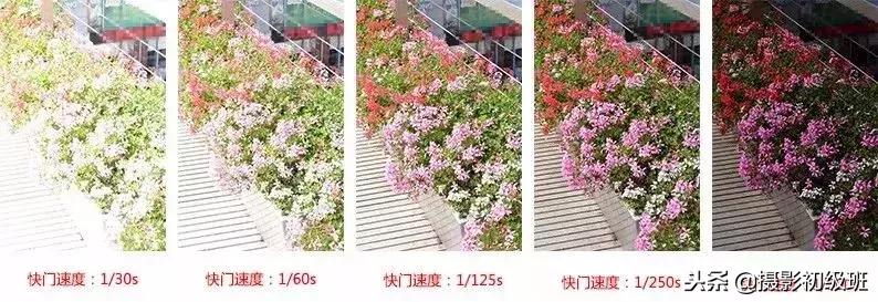 摄影入门教程光圈快门iso曝光,摄影初学者如何调整光圈