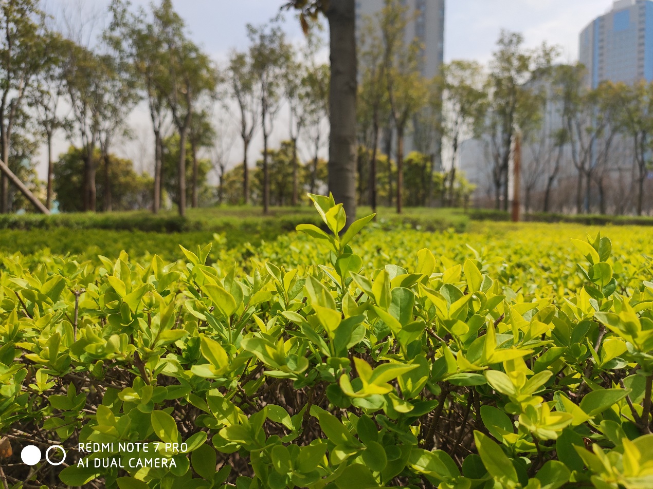 红米note7pro测评,红米note7pro值不值得买