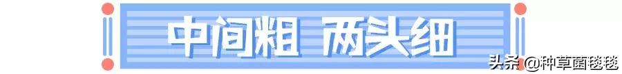三招教你秒变大眼睛技巧,三招教你眼睛又大又美