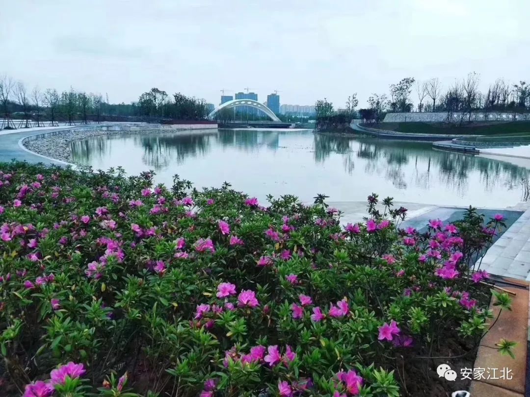 砸下92.7亿！国际化新社区即将建成！江北这里简直牛大了